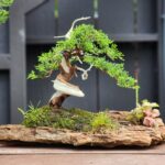 ID852:Ito Shimpaku 25yrs old in rock slap