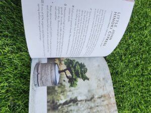 Bonsai Book - Matthew punigam - Image 3