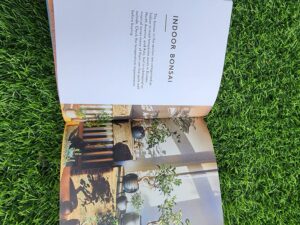 Bonsai Book - Matthew punigam - Image 4