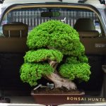 Code 105 : Itoigawa Shimpaku