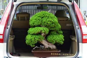 Code 105 : Itoigawa Shimpaku