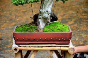 Code 091 : Tosho - Image 2