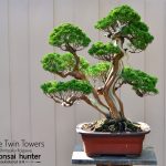 Code 048 : Itoigawa Shimpaku