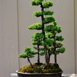 Code 067 : Tosho