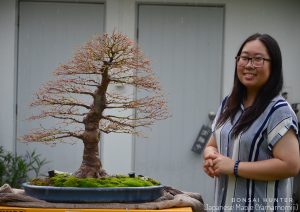 Code 099 : Japanese Maple - Image 8