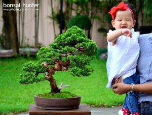 Code 103 : Itoigawa Shimpaku - Image 6