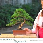 Tree ID 309 : Shimpaku