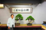 Itoigawa Shimpaku Master Kimura's bonsai - Image 4