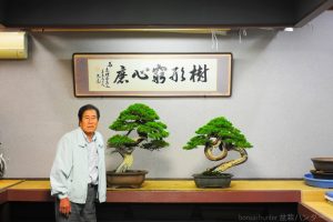 Itoigawa Shimpaku Master Kimura's bonsai - Image 4