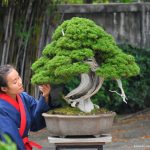 330 : Master Kimura, Kokufu 89th Japan