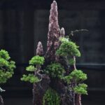 ID901: Itoigawa Shimpaku Hanging Cliff