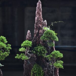 ID901: Itoigawa Shimpaku Hanging Cliff