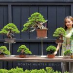 ขาตั้ง​ i-stand